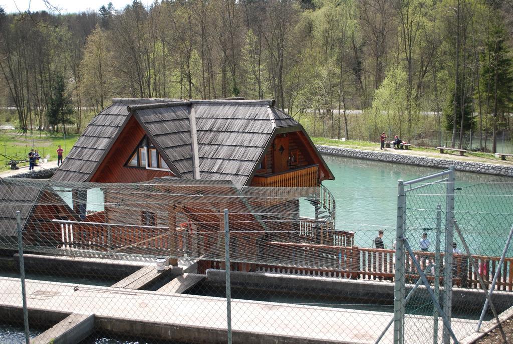 Apartma Mihovc Kamnik Rum bild